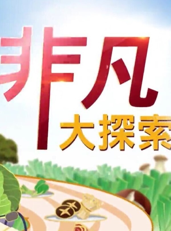 【空姐の恩赐】麻衣空姐！颤抖的淫美肉体！ - CB影视